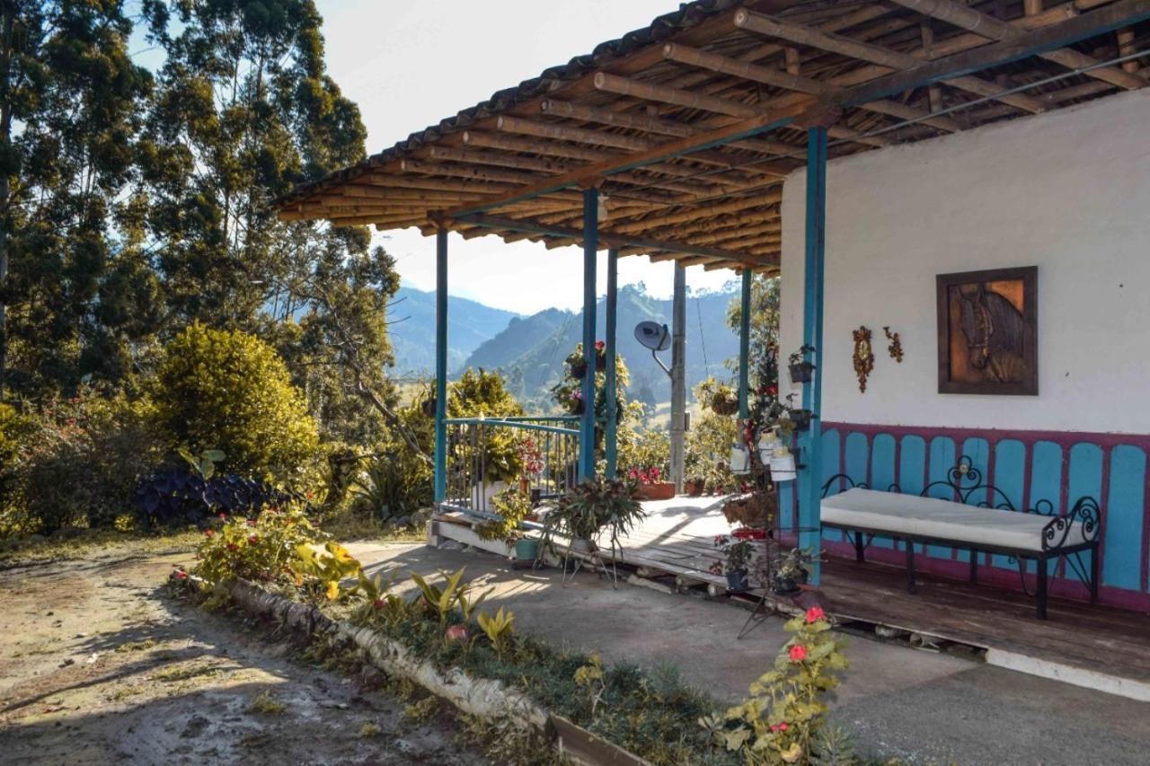 Hostal Rural La Montana Alquiyapura سالنتو المظهر الخارجي الصورة