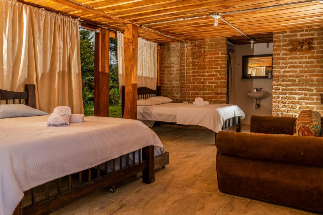Hostal Rural La Montana Alquiyapura سالنتو المظهر الخارجي الصورة