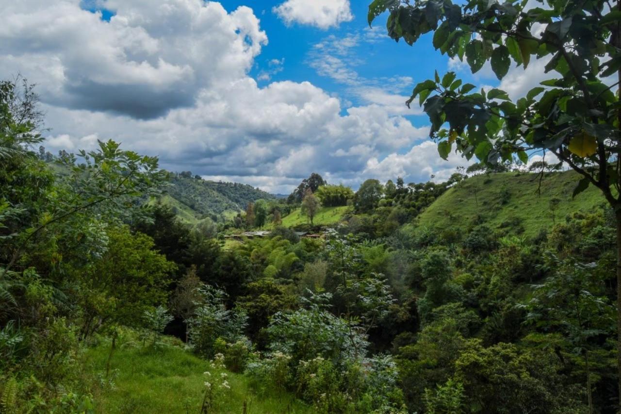 Hostal Rural La Montana Alquiyapura سالنتو المظهر الخارجي الصورة