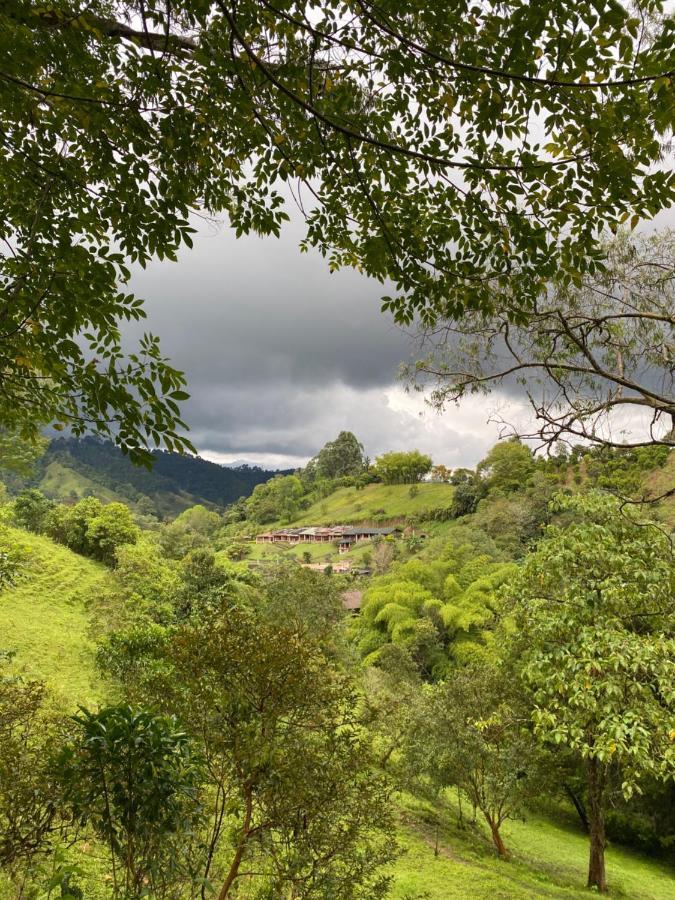 Hostal Rural La Montana Alquiyapura سالنتو المظهر الخارجي الصورة